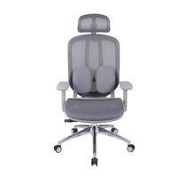 Ergo Duo Mesh Chair