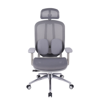 Ergo Duo Mesh Chair