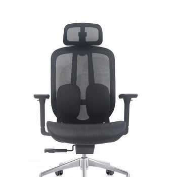 Ergo Duo Mesh Chair
