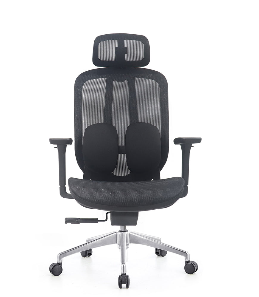 Ergo Duo Mesh Chair