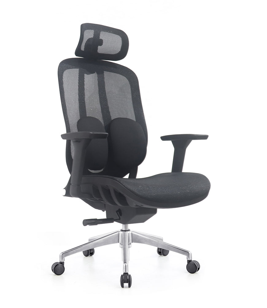 Ergo Duo Mesh Chair