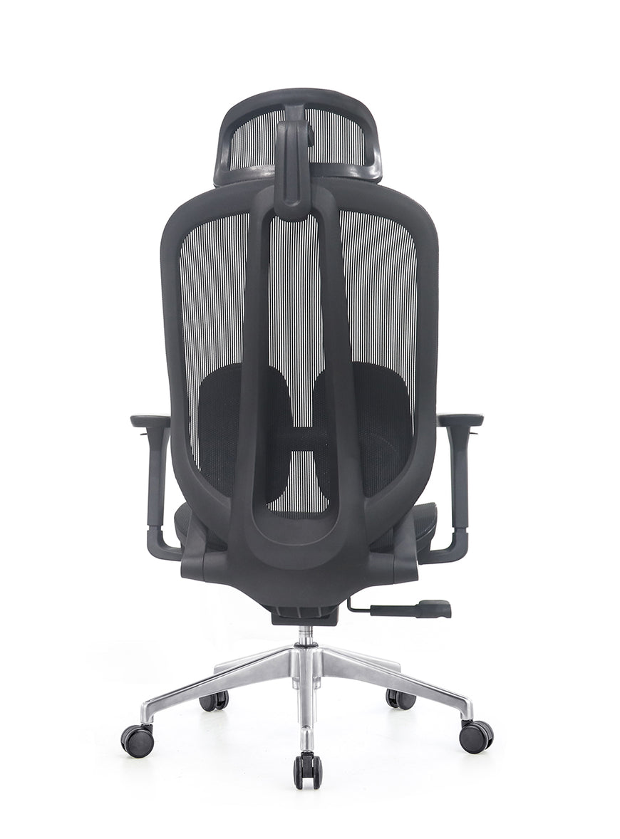 Ergo Duo Mesh Chair
