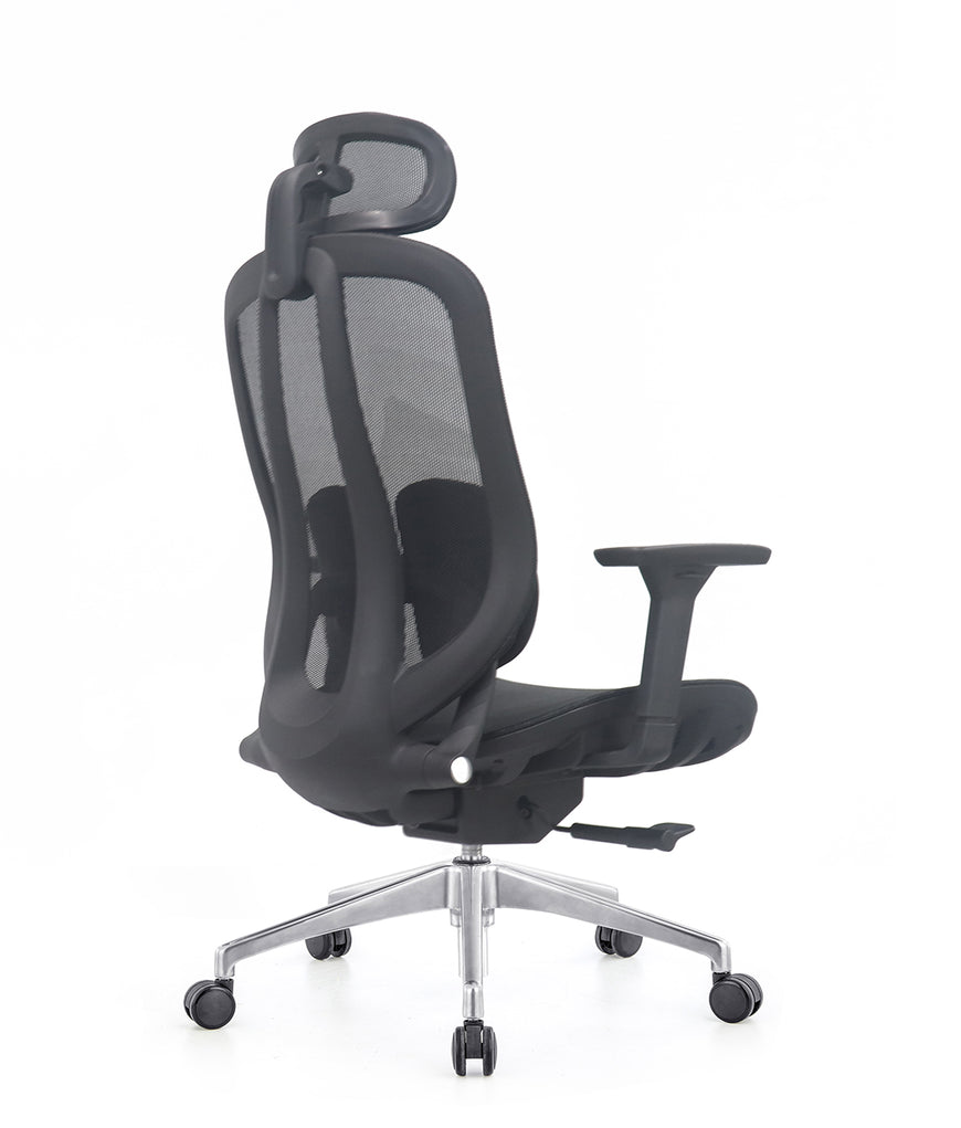 Ergo Duo Mesh Chair