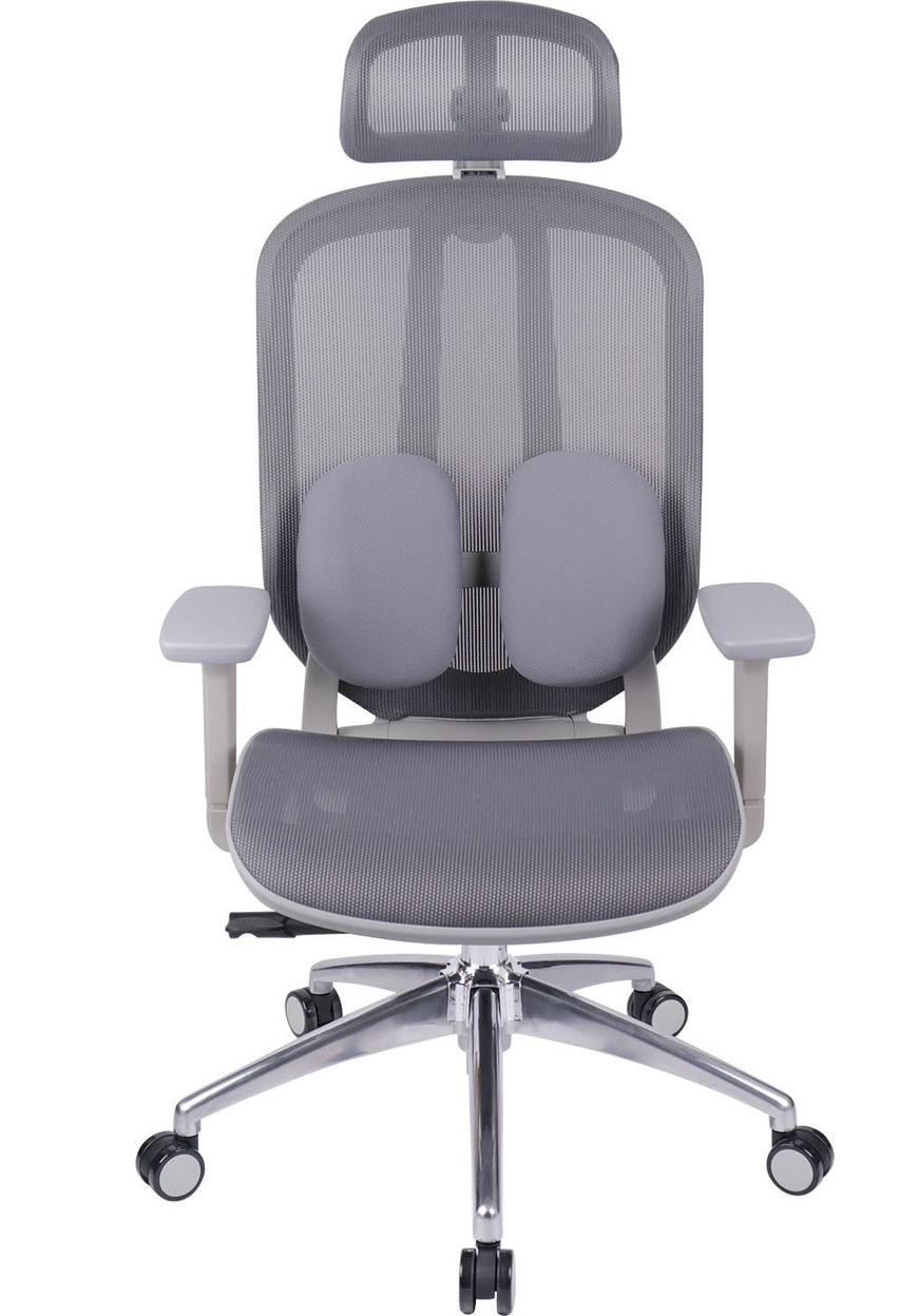 Ergo Duo Mesh Chair