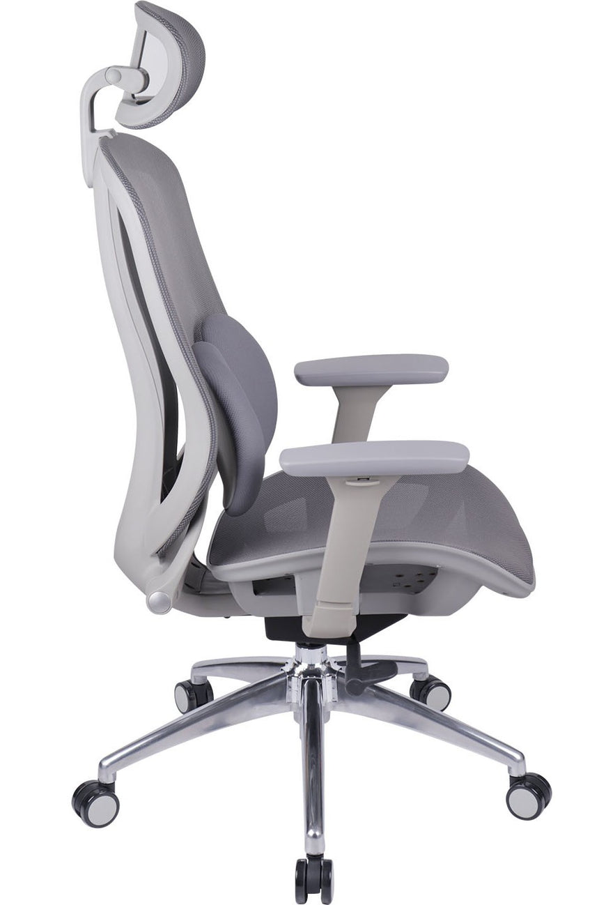 Ergo Duo Mesh Chair