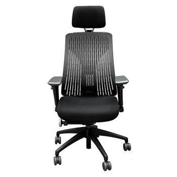 TRULY Ergonomic Chair